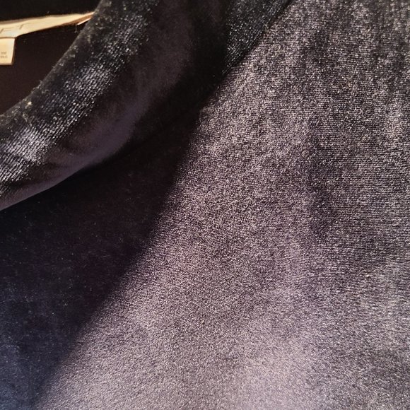 LOFT Velvet Mockneck Short Sleeve Top - Picture 4 of 6